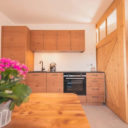 Zumhofer Apartment *